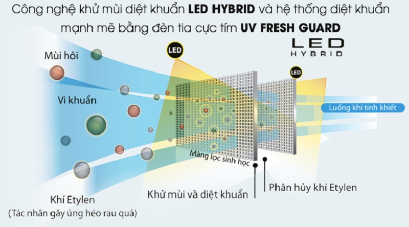 Kháng khuẩn và khử mùi bằng Led Hybrid - Tủ lạnh Toshiba Inverter 468 lít GR-HG52VDZ XK