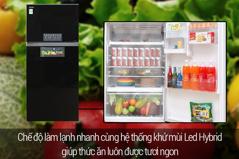 ngăn lạnh