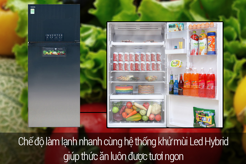 ngăn lạnh