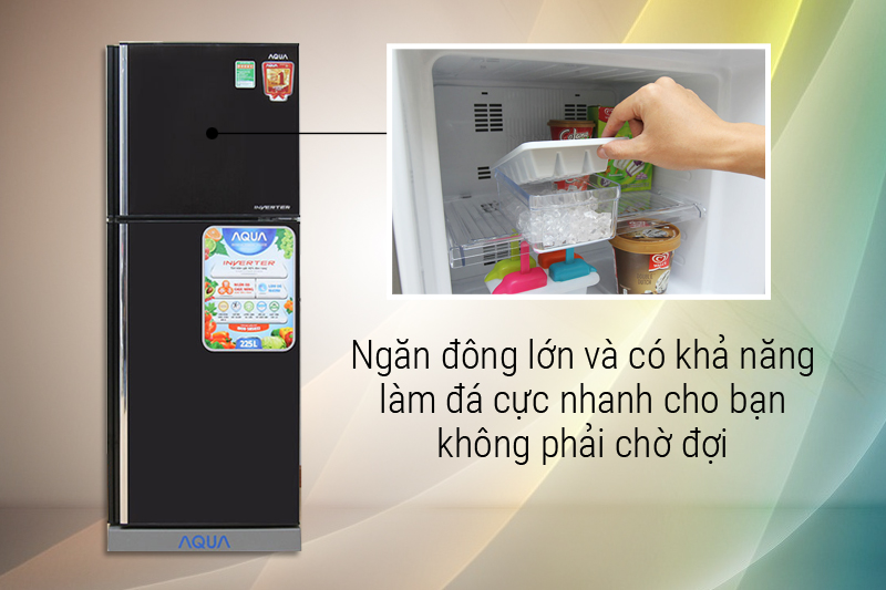 Ngăn đông lớn