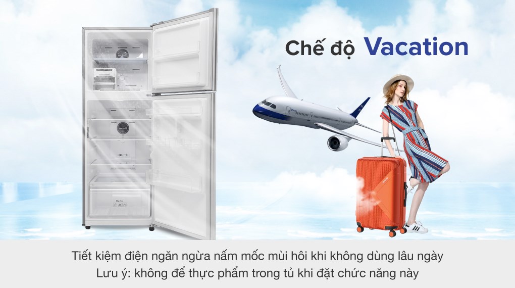 Tủ lạnh Samsung Inverter 299 lít RT29K5012S8/SV