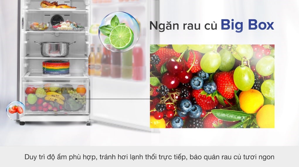 Tủ lạnh Samsung Inverter 299 lít RT29K5012S8/SV