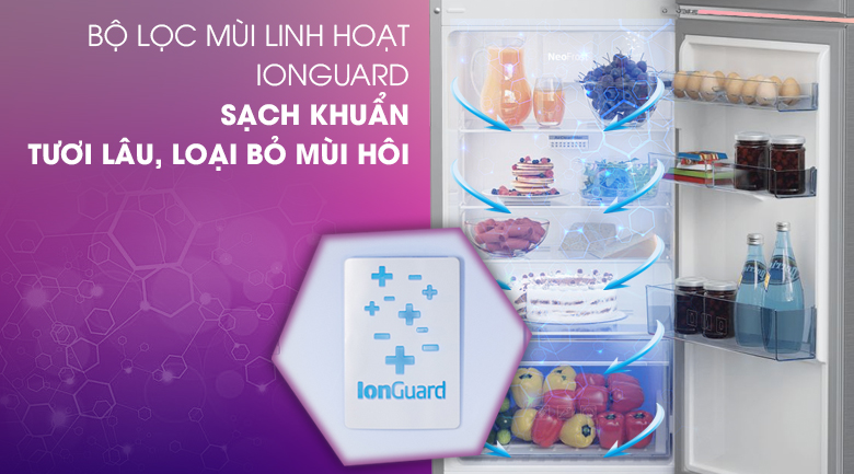 Tủ lạnh Beko RDNT250I50VZX - Bộ lọc mùi linh hoạt IonGuard