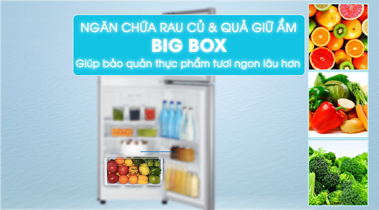 Big Box - Tủ lạnh Samsung Inverter 208 lít RT20K300ASE/SV Big Box - Tủ lạnh Samsung Inverter 208 lít RT20K300ASE/SV