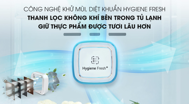 Công nghệ kháng khuẩn khử mùi Hygiene Fresh+ - Tủ lạnh LG Inverter 601 lít GR-D247JS