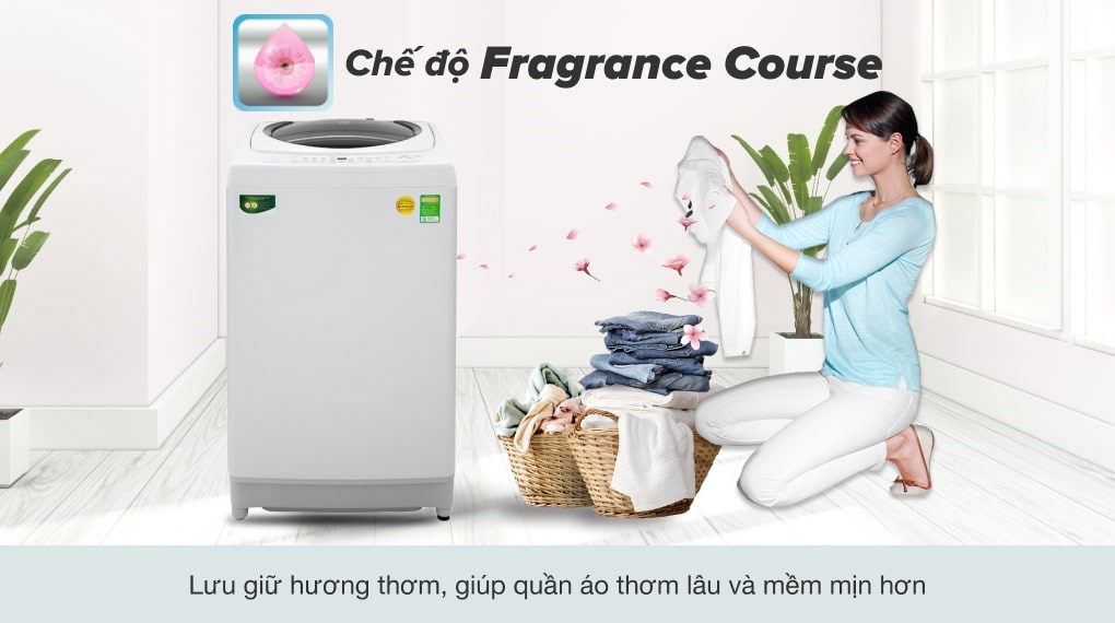 Máy giặt Toshiba 9kg AW-G1000GV WG