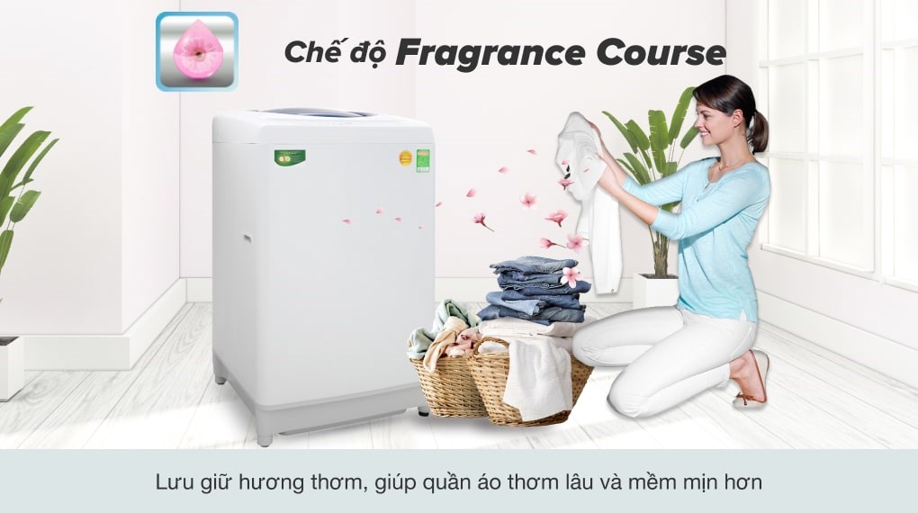 Máy giặt Toshiba 10 kg AW-G1100GV WB