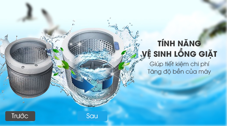 Vệ sinh lồng giặt tự động - Máy giặt Aqua 8 Kg AQW-S80CT H2