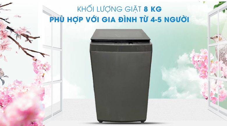Thiết kế-máy giặt Toshiba 8 kg AW-K905DV
