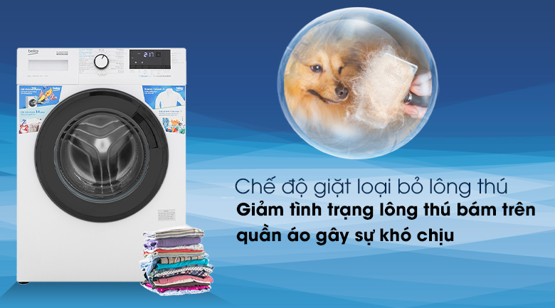 Máy giặt Beko WCV10612XB0ST- Chế độ giặt loại bỏ lông thú