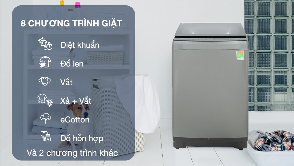 Máy giặt Whirlpool Inverter 10 kg VWIID1002FG