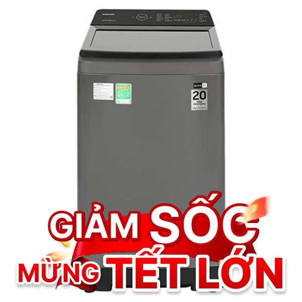Samsung Inverter 9.5 Kg WA95CG4545BDSV