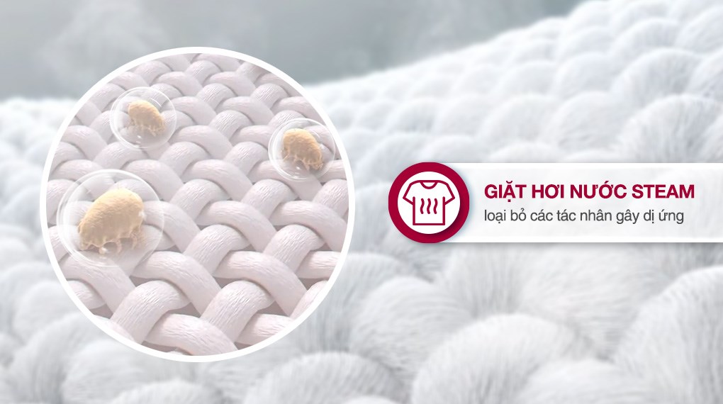 Máy giặt LG AI DD Inverter 12 kg FX1412N5G