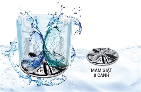 Công nghệ Stain Master+ giặt chà mạnh mẽ