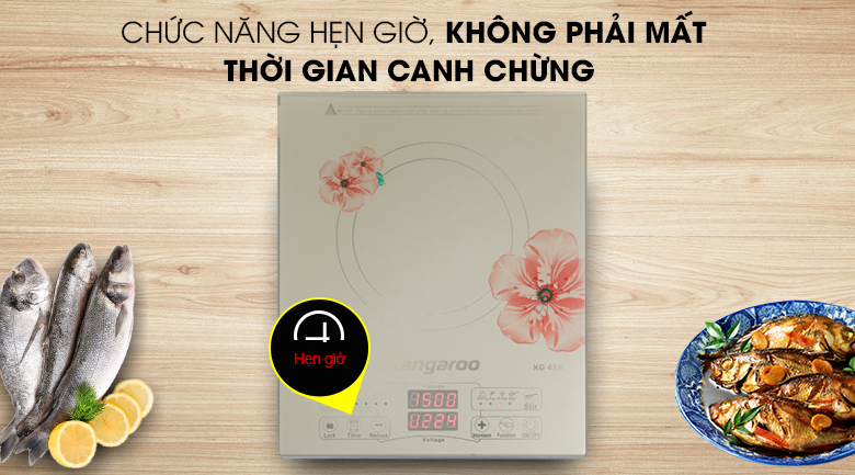 Bếp từ Kangaroo KG418I