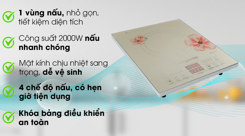 Bếp từ Kangaroo KG418I