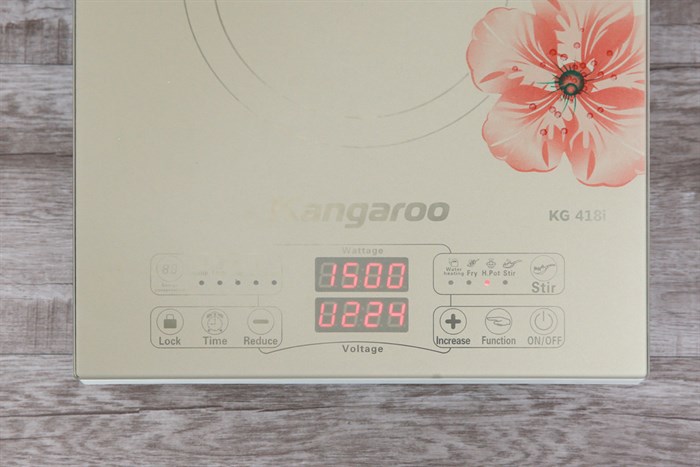 Bếp từ Kangaroo KG418I