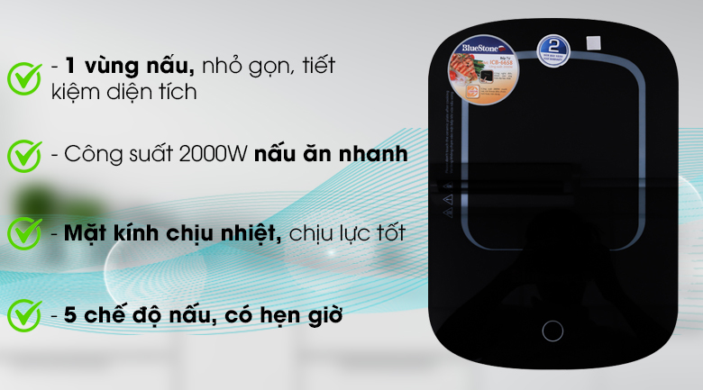 Bếp từ BlueStone ICB-6658