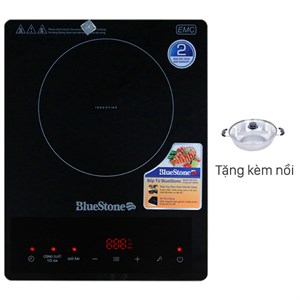 Bếp từ BlueStone ICB-6728