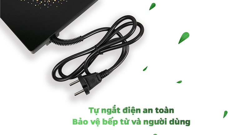 Bếp từ Gree GCWK-21XSFa