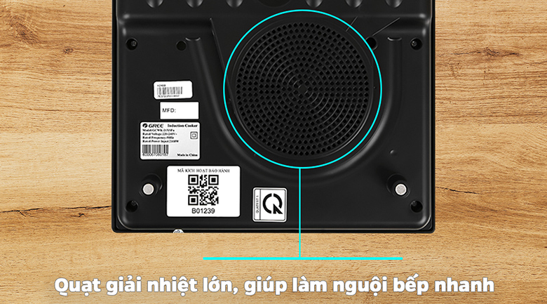 Bếp từ Gree GCWK-21XSFa