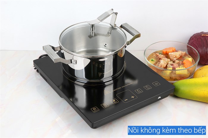 Bếp từ Gree GCWK-21XSFa Màu Đen