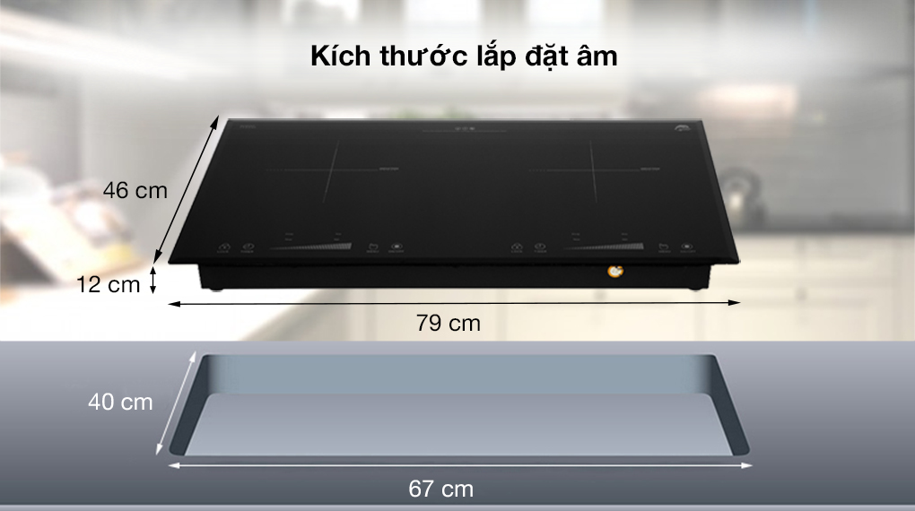 Bếp từ đôi Iruka I-22