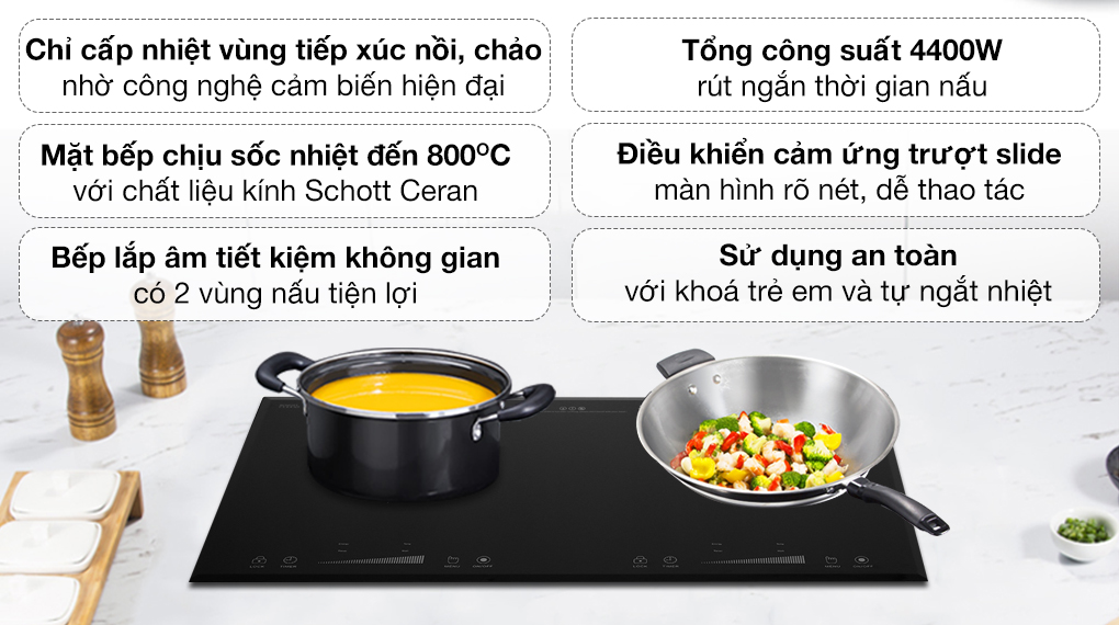 Bếp từ đôi Iruka I-22