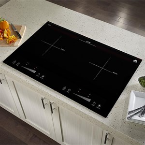 Bếp từ đôi Iruka I-22