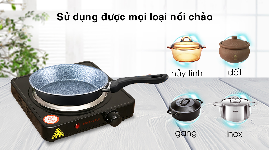 Bếp từ đơn Perfect PF-HP789-1 1000W