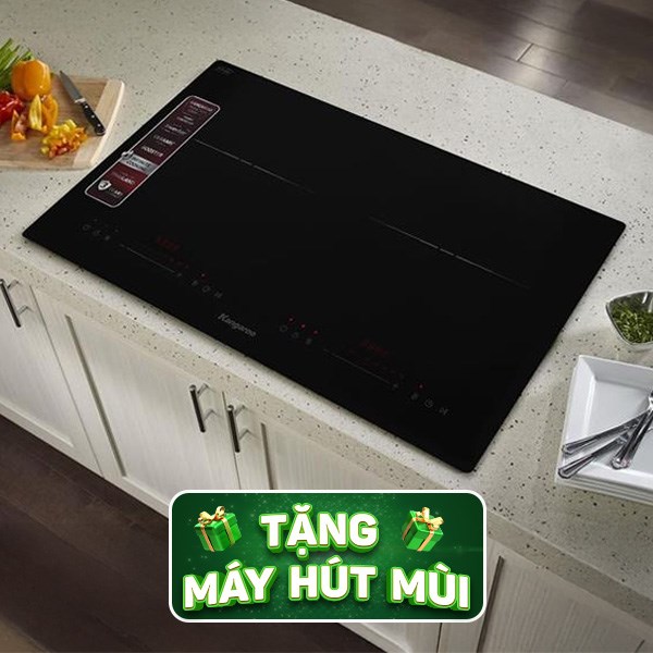 Bếp từ đôi âm Kangaroo KGIC48D1T 4800W
                Mẫu mới