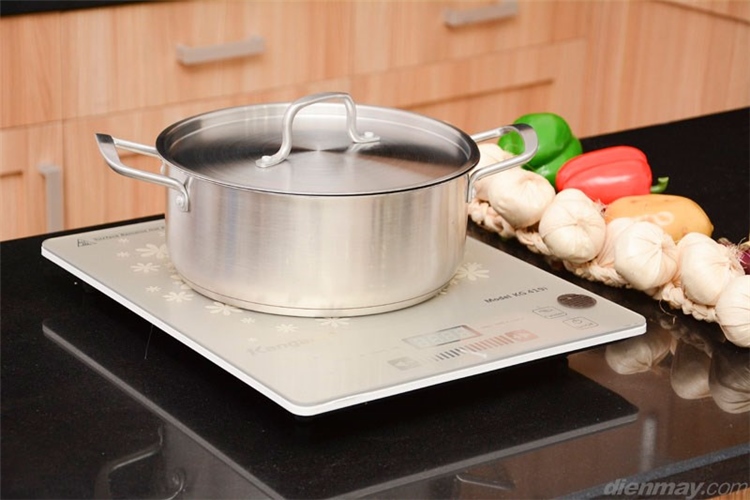 Bếp từ Kangaroo KG419i Màu Bạc