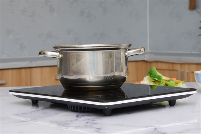 Bếp từ Delites BDT01 Màu Đen