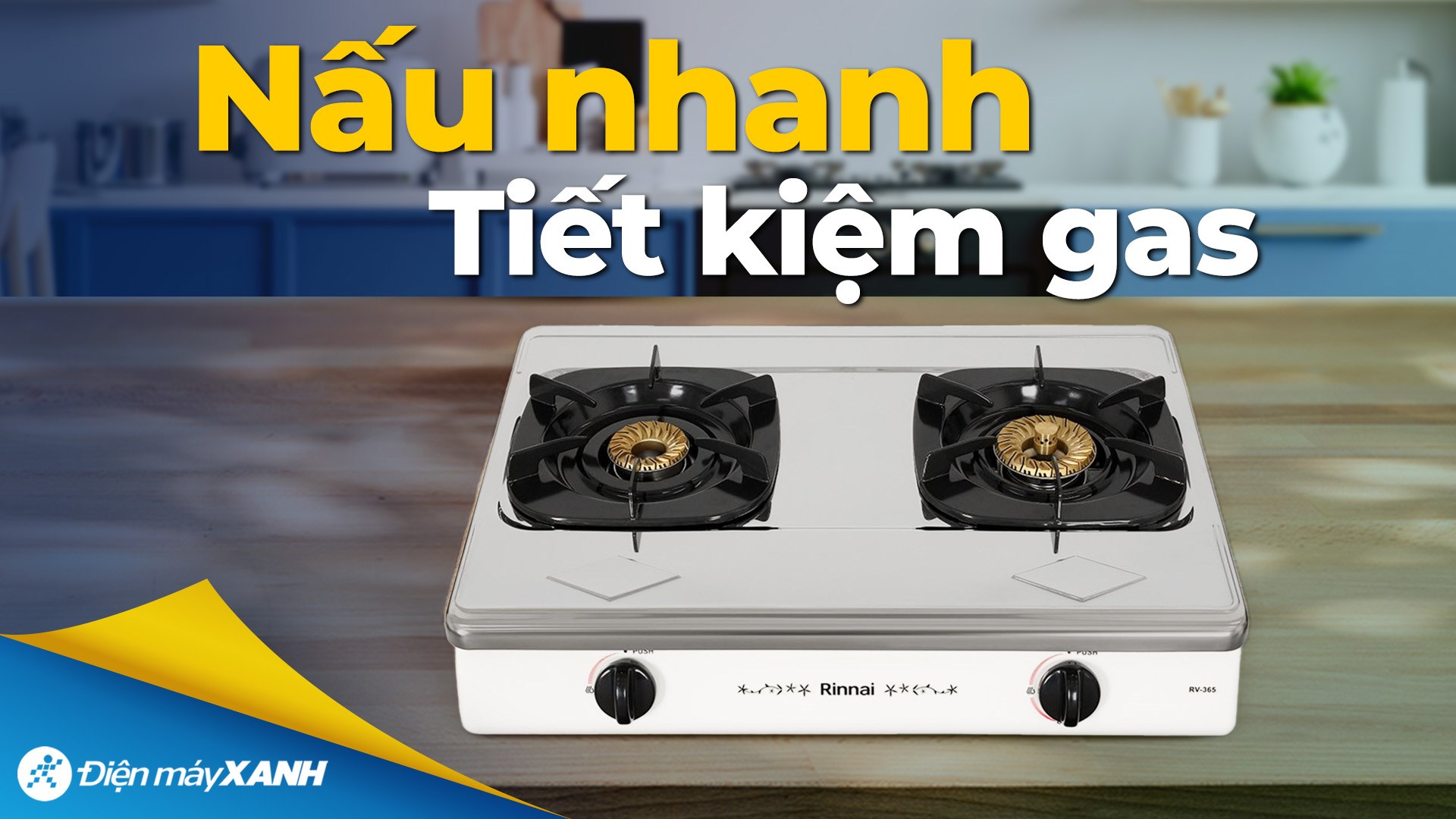 Bếp gas đôi Rinnai RV-365(SW)N