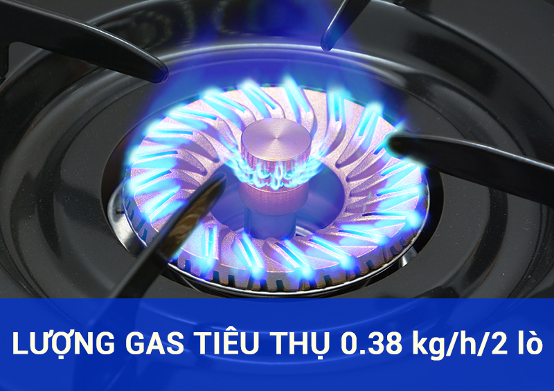 Combo Bộ Bình Gas Van Dây Tự Động Bếp Gas RINNAI 7 tấc RV-7 DOUBLE