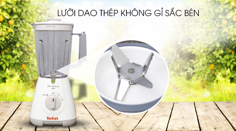 Máy xay sinh tố đa năng Tefal BL309166 - 12