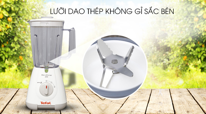 Máy xay sinh tố Tefal BL30A165 - 11