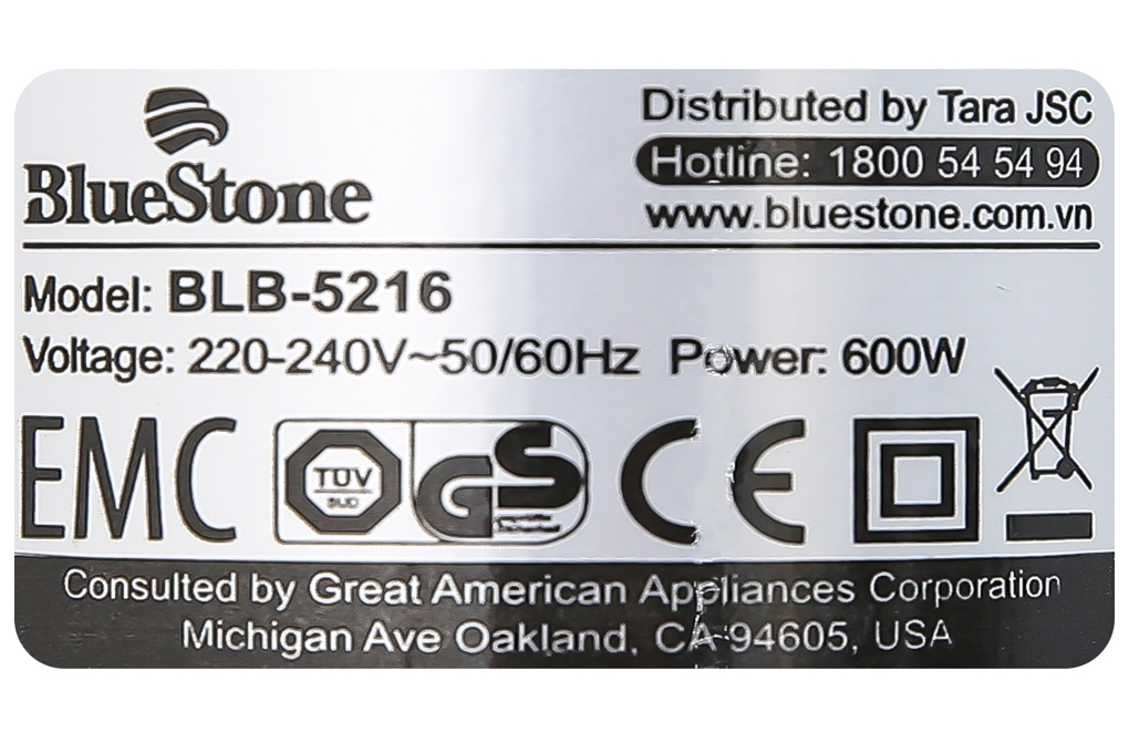 Siêu thị máy xay sinh tố cầm tay Bluestone BLB-5216