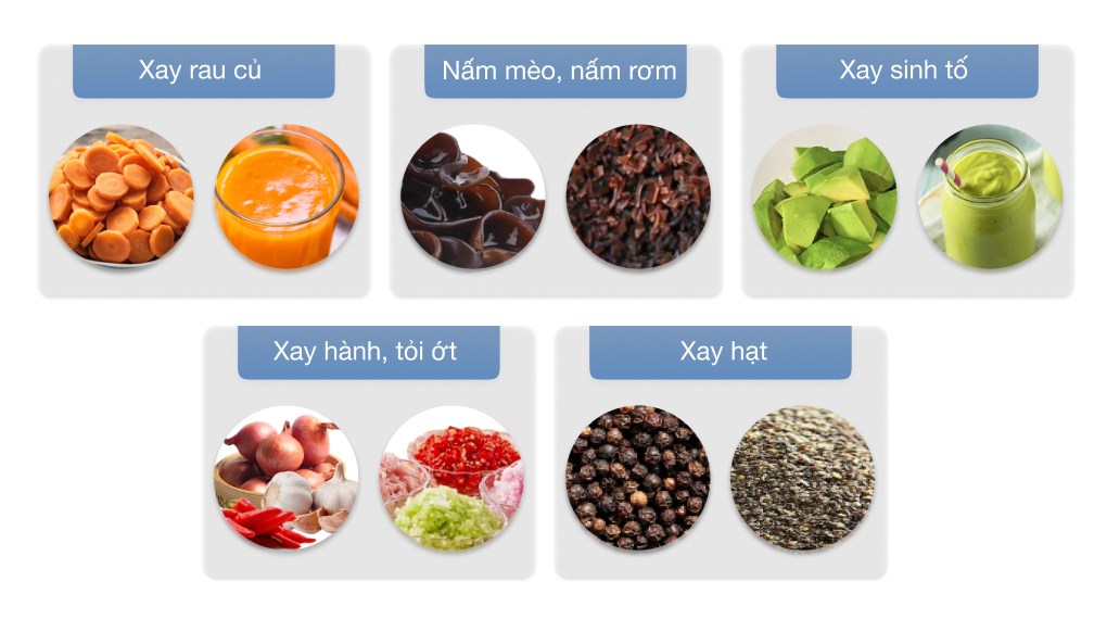 Máy xay sinh tố đa năng Delites BL2009