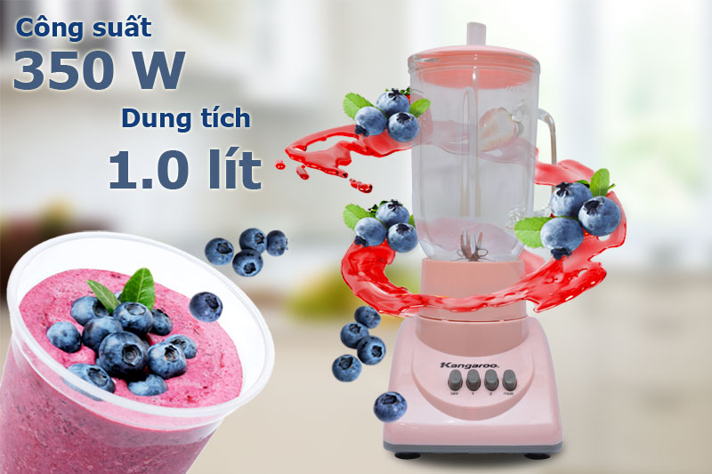 Máy xay sinh tố Kangaroo KG 304