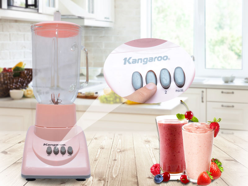 Máy xay sinh tố Kangaroo KG 304