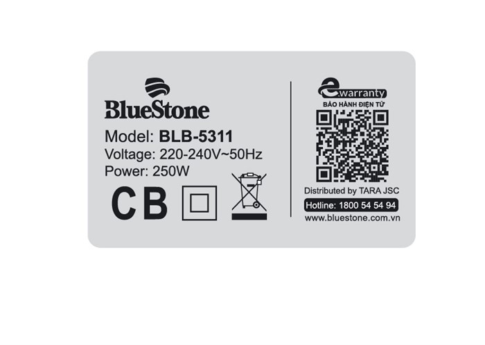 Máy xay sinh tố đa năng Bluestone BLB-5311 Màu Trắng - Xanh lá