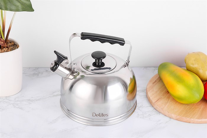 Ấm đun nước inox Delites BR001 4 lít Màu Bạc