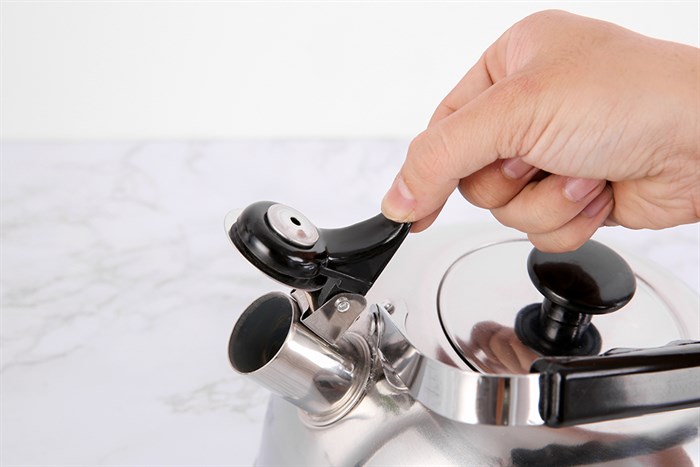 Ấm đun nước inox Delites BR001 4 lít Màu Bạc