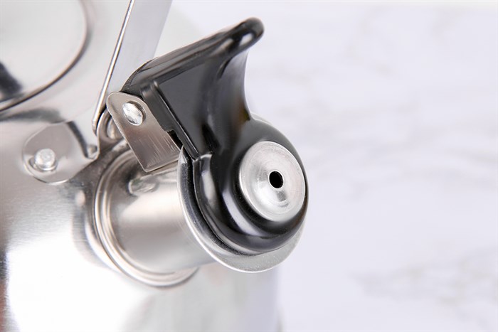 Ấm đun nước inox Delites BR001 4 lít Màu Bạc