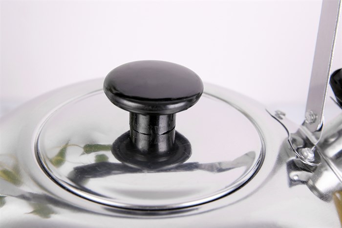 Ấm đun nước inox Delites BR001 4 lít Màu Bạc