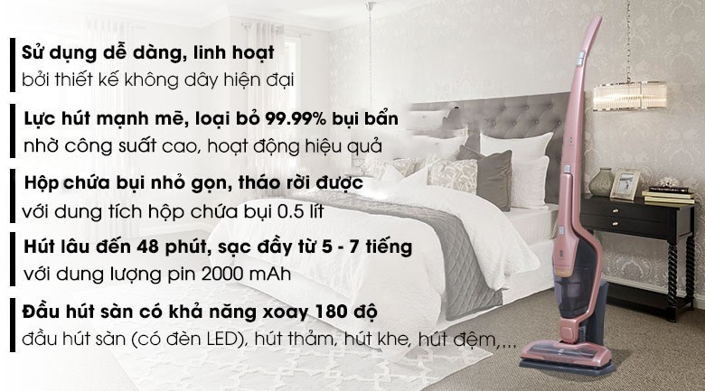 Máy hút bụi không dây Electrolux ZB3314AK