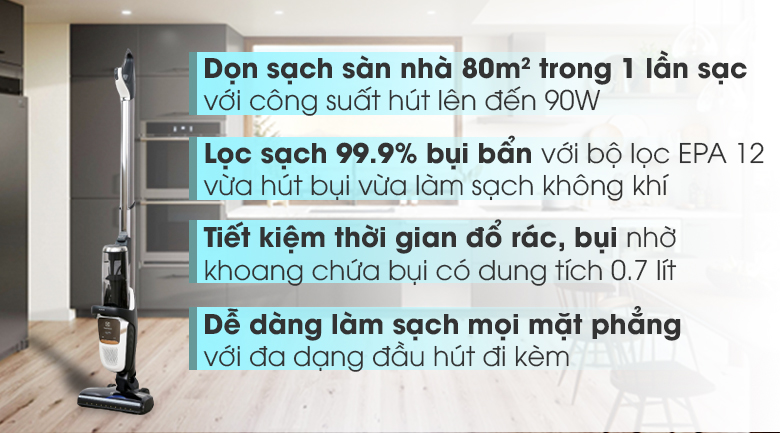 Máy hút bụi cầm tay Electrolux PF91-6BWF