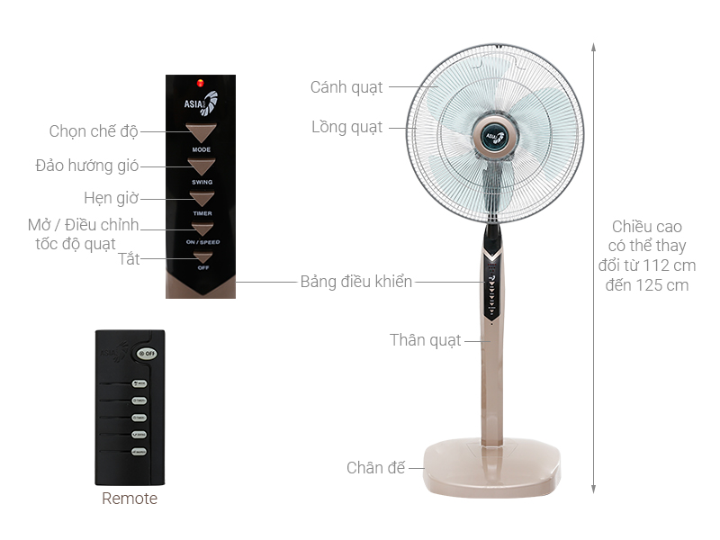 Quạt đứng Asia D16013-VV0