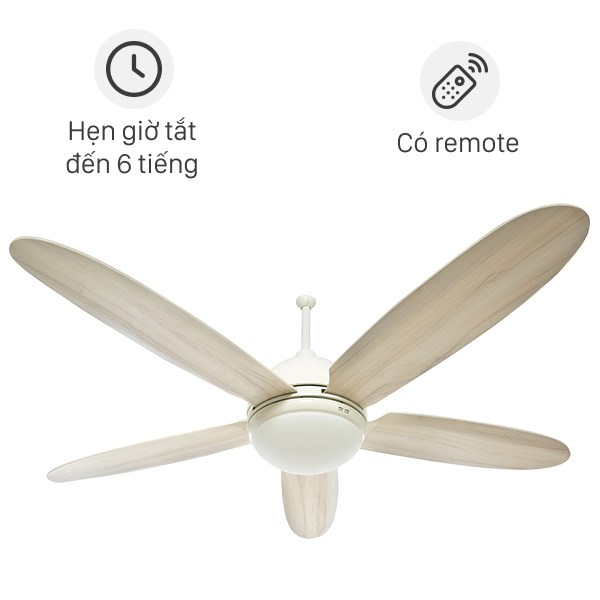 quat tran mrvu daisy wh 110822 101233